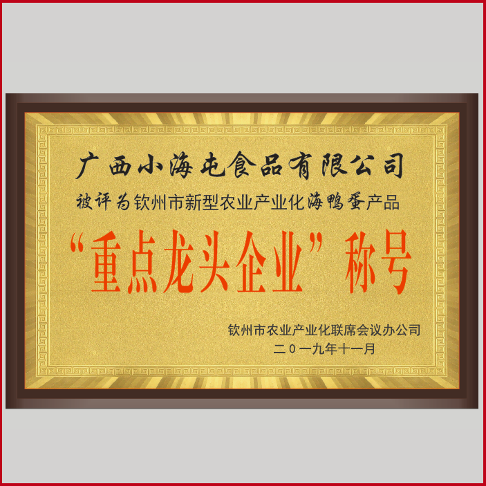 領(lǐng)頭企業(yè)